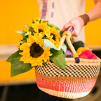 Live A Life You LOVE!